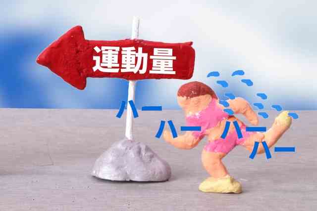 運動量