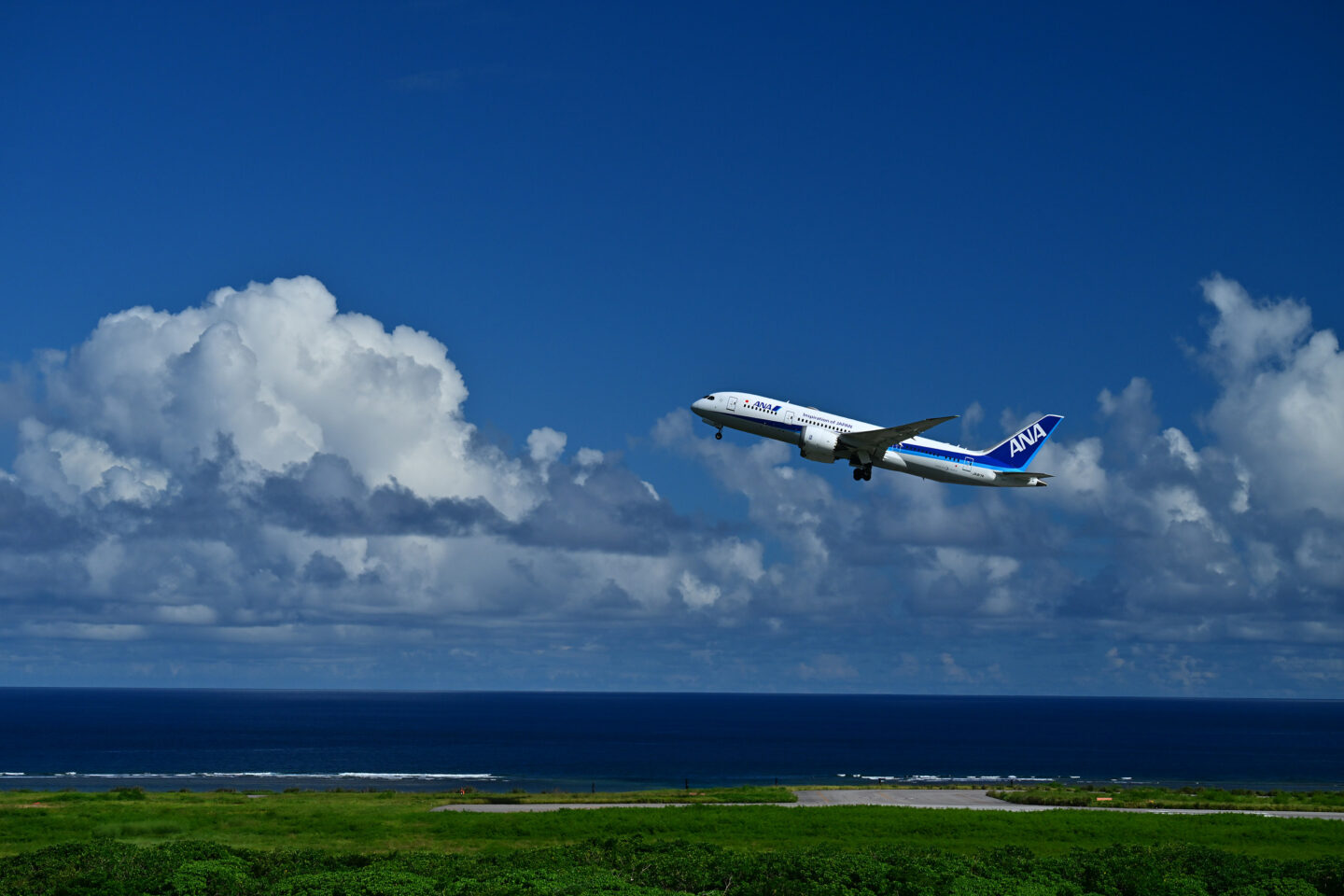 飛行機