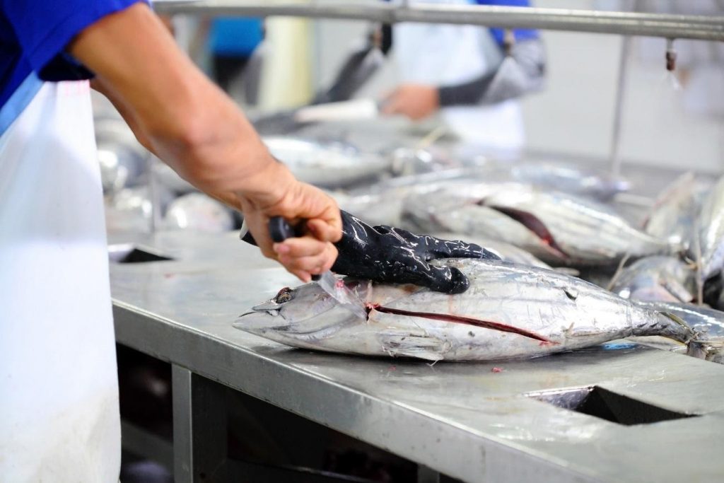 魚をさばく人