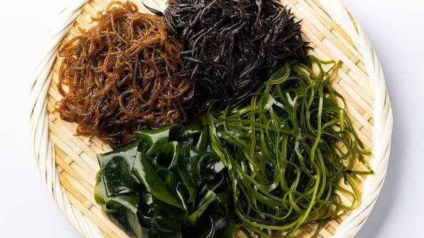 海藻