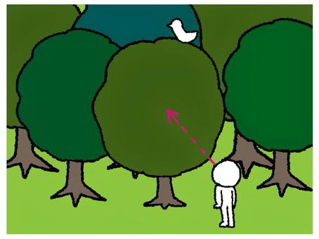木を見て森を見ず