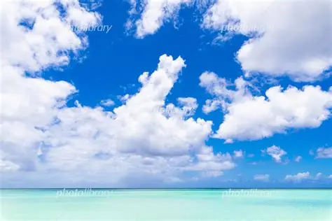雲